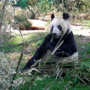 Preview Chapultepec Park for your Mexico City trip